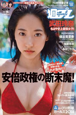 美丽的丽莎1980意大利语